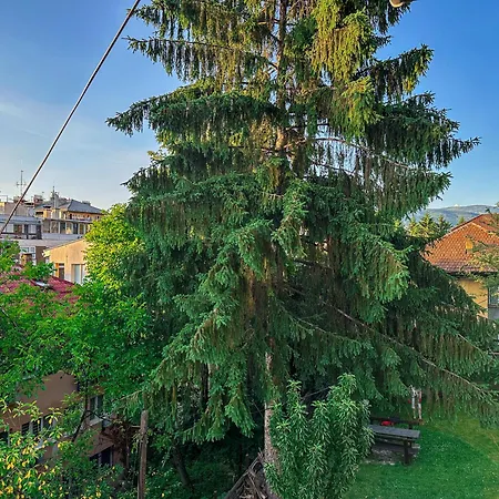 Cozy With A Bathroom Vendégház *