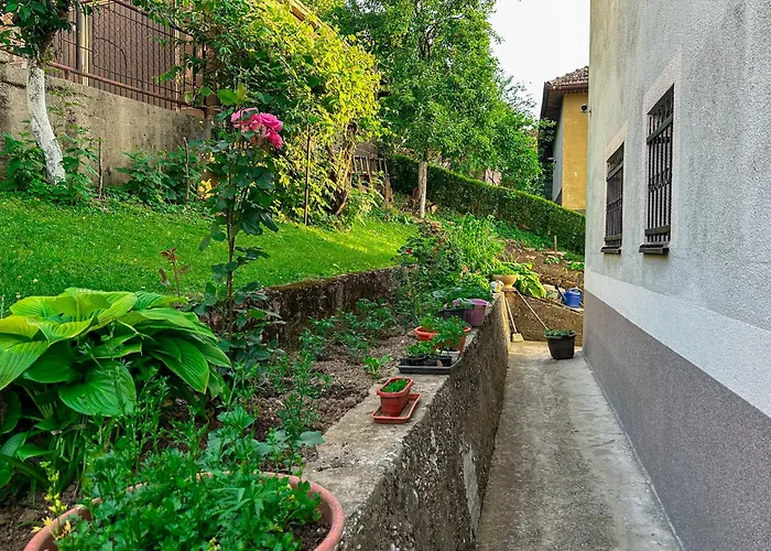 ゲストハウス Cozy With A Bathroom *